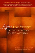 After The Storm Healing After Trauma Tra