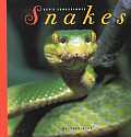 Snakes Lets Investigate