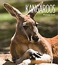 Living Wild: Kangaroos