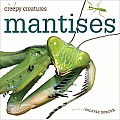 Creepy Creatures: Mantises