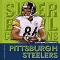 Super Bowl Champions Pittsburgh Steelers