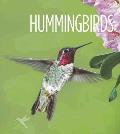 Living Wild: Hummingbirds