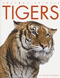 Tigers Amazing Animals