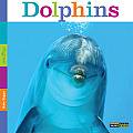 Seedlings: Dolphins