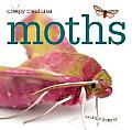 Creepy Creatures: Moths