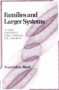 Families & Larger Systems A Family Thera