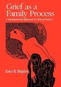 Grief as a Family Process A Developmental Approach to Clinical Practice