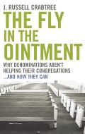 The Fly in the Ointment: Why Denominations Aren't Helping Their Congregations...and How They Can