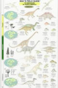 Mac's Field Guides: North American Dinosaurs