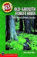 Best Old Growth Forest Hikes Washington
