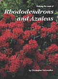 Making The Most Of Rhododendrons & Azale