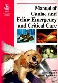 Man Can/Feline Emer/Crit Care-99
