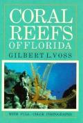 Coral Reefs Of Florida