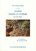 Illustrated Key to Lizards Snakes & Turtles of the West