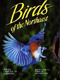 Birds of the Northeast: Washington, D.C. Through New England