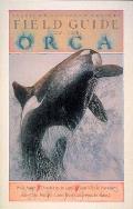 Field Guide to the Orca American Cetacean Society