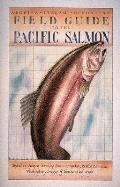 Field Guide To The Pacific Salmon