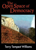 Open Space Of Democracy