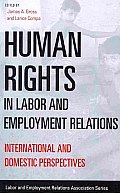 Human Rights in Labor and Employment Relations: International and Domestic Perspectives