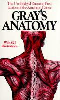 Grays Anatomy 1901 Edition