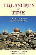 Treasures of Time A Guide to Prehistoryic Ceramics of the Southwest