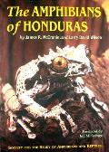 Amphibians Of Honduras
