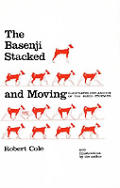 Basenji Stacked & Moving