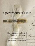 Specimens of Hair The Curious Collection of Peter A Browne