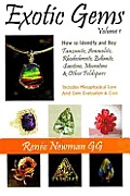 Exotic Gems Volume 1 How to Identify & Buy Tanzanite Ammolite Rhodochrosite Zultanite Sunstone Moonstone & Other Feldspars