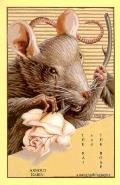 Rat & The Rose A Naughtobiography
