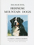 Beautiful Bernese Mountain Dogs