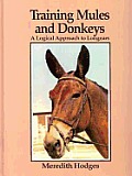 Training Mules & Donkeys A Logical Appro