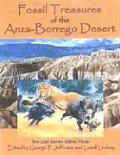 Fossil Treasures of the Anza-Borrego Desert