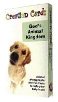 Gods Animal Kingdom