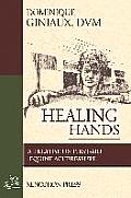 Healing Hands: A Treatise on First-Aid Equine Acupressure