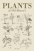 Plants Of Old Hawaii