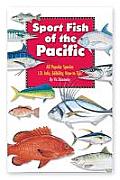 Sport Fish Of The Pacific