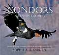 Condors in Canyon Country The Return of the California Condor to the Grand Canyon Region