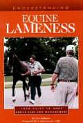 Understanding Equine Lameness Your Guide To Horse