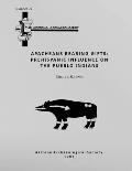 Arizona Archaeologist No. 29: Apacheans Bearing Gifts: Prehispanic Influence on the Pueblo Indians