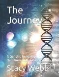 The Journey: A Genetic Genealogy Handbook with Case Studies