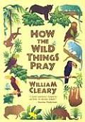 How The Wild Things Pray