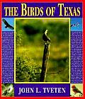 Birds Of Texas