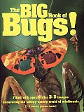 Big Book of Bugs