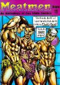 Meatmen 19 An Anthology Of Gay Male Comics