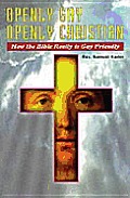 Openly Gay Openly Christian How The Bibl