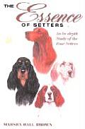 Essence of Setters A Study of English Gordon Irish & Red & White Setters