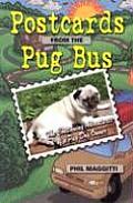 Postcards from the Pug Bus The Continuing Education of a Pug Dog Owner