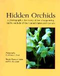 Hidden Orchids A Photographic Discovery