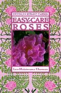 Easy Care Roses Low Maintenance Charme